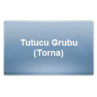 Tutucu Grubu (Torna)
